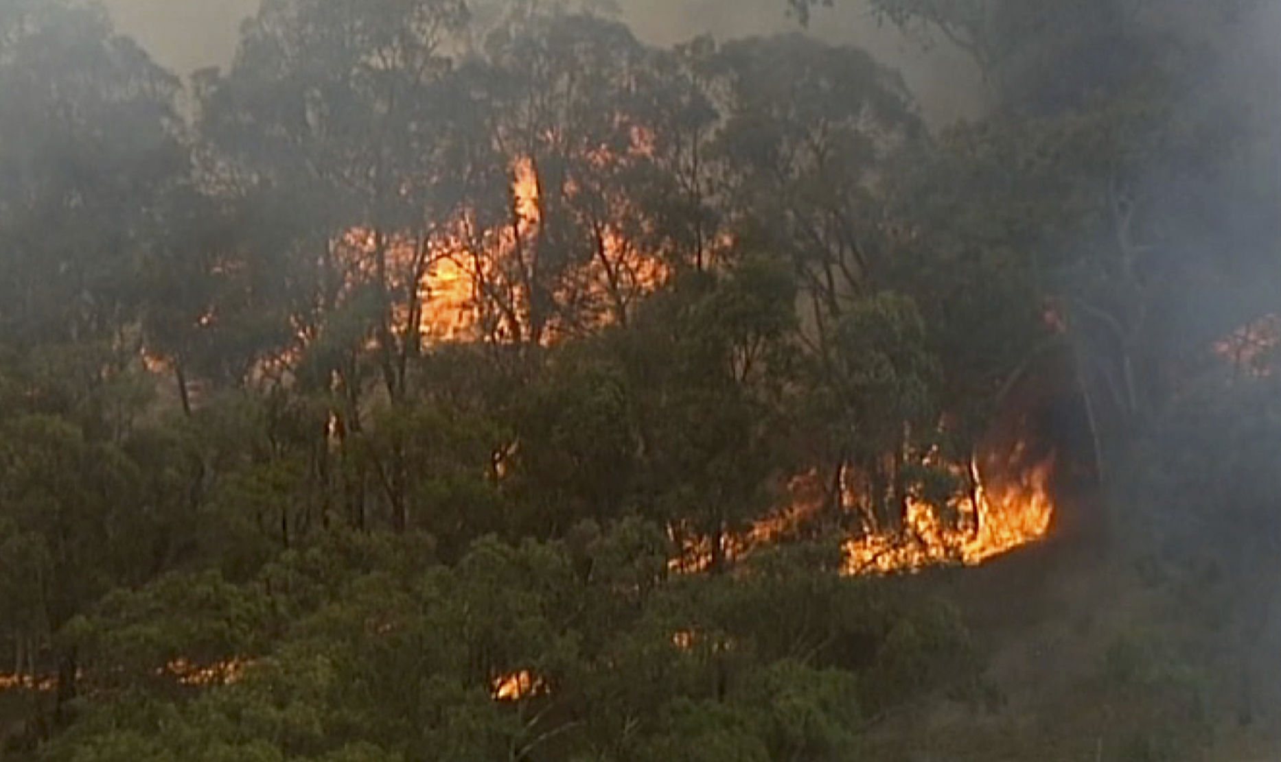 Australia wildfires